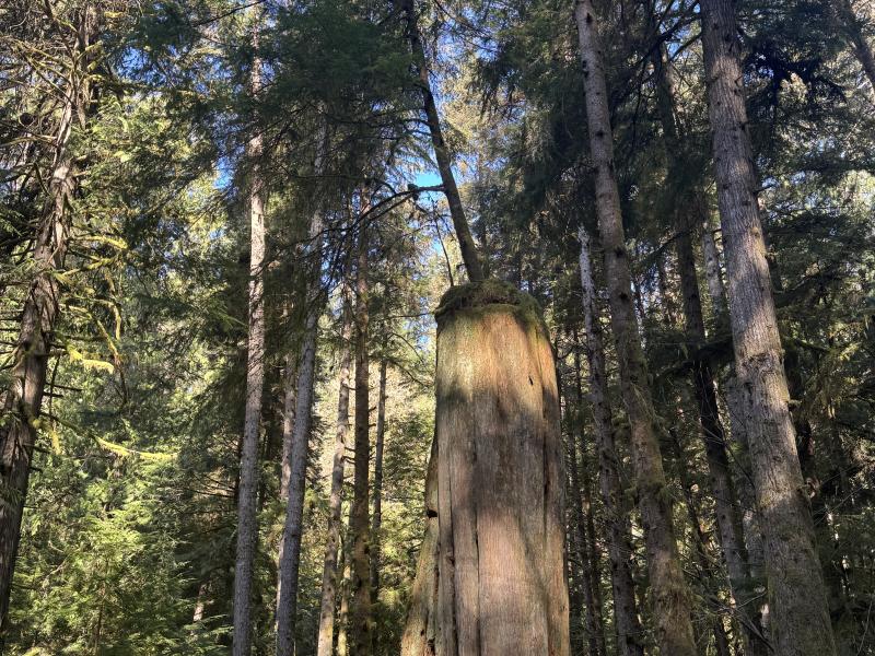 Winter Hikes photo 12
