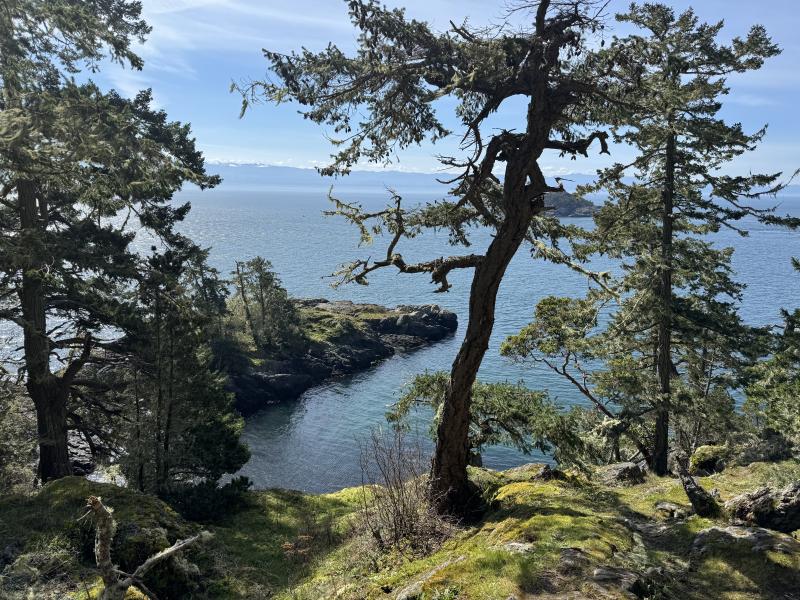 Winter Hikes photo 19