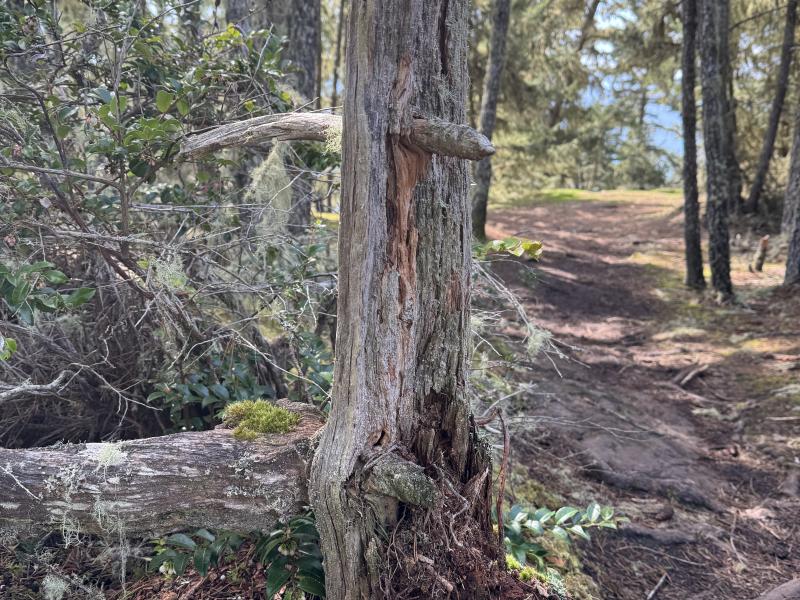 Winter Hikes photo 21