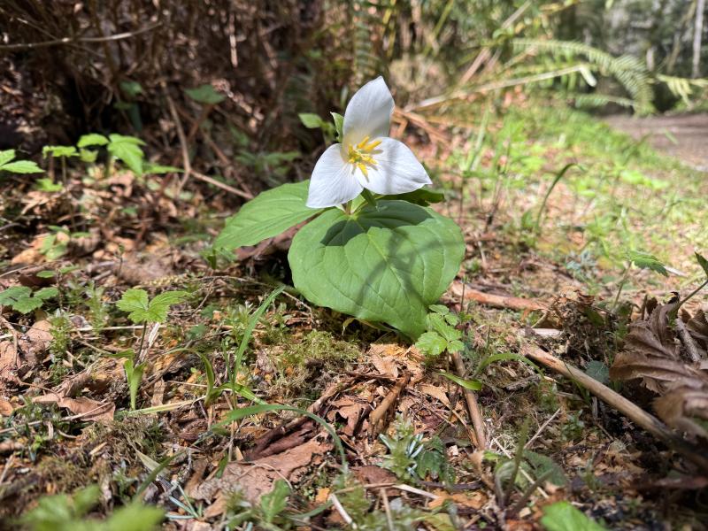 Winter Hikes photo 22