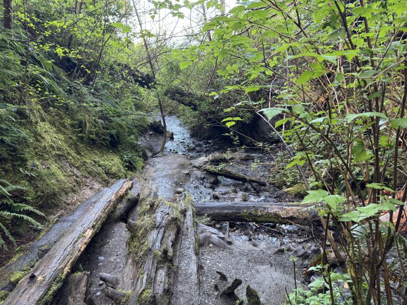 Winter Hikes photo 28