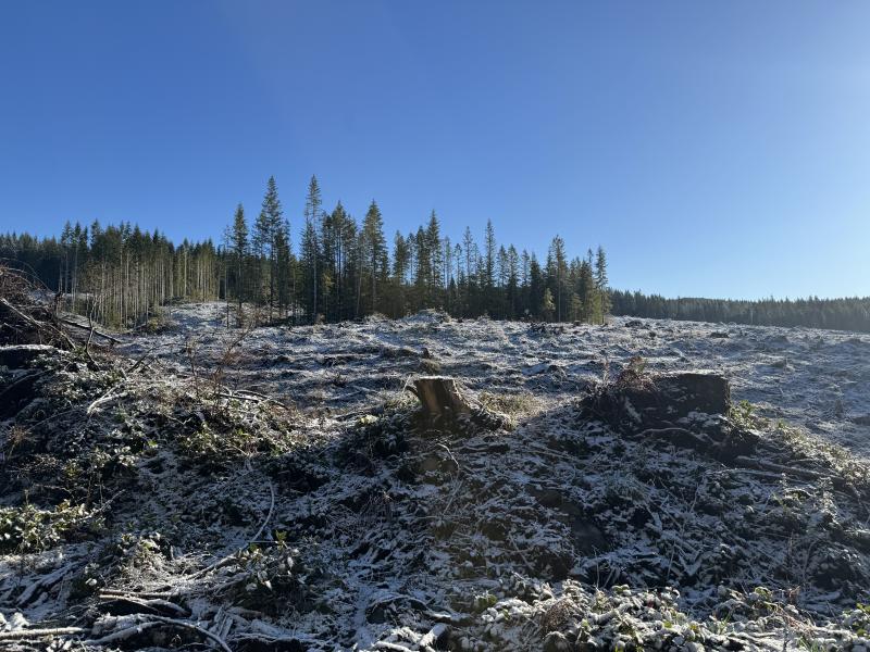 Winter Hikes photo 23