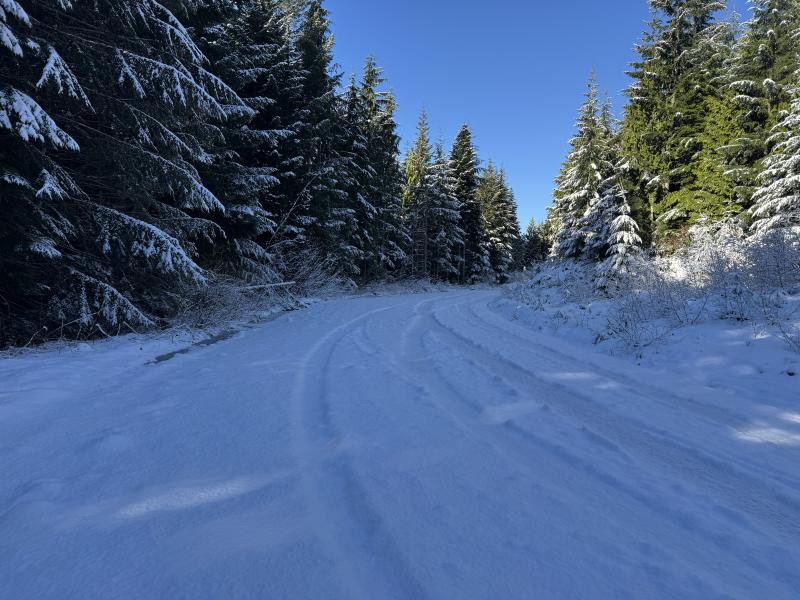 Winter Hikes photo 24