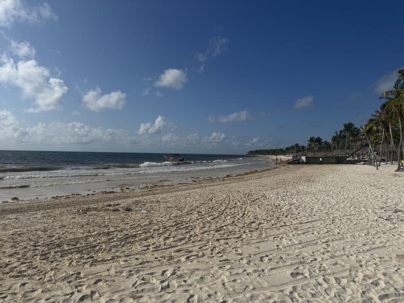 Cancun 2026 photo 30