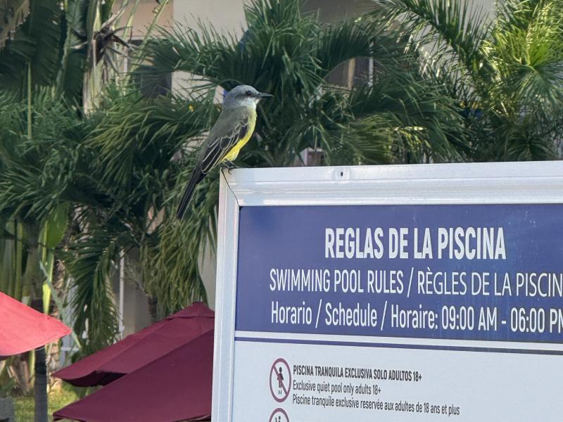 Puerto Vallarta Mexico photo 4