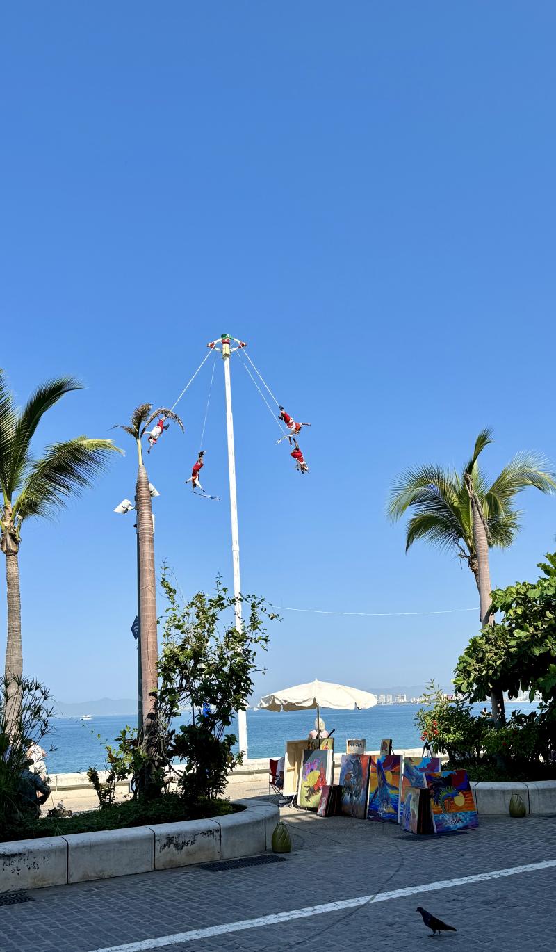 Puerto Vallarta Mexico photo 150