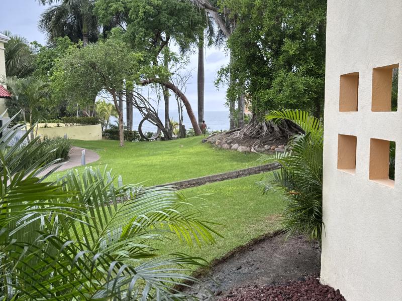 Purto Vallarta Ceboruco photo 1