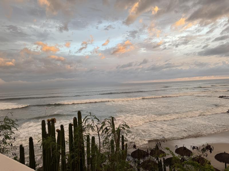 Purto Vallarta Ceboruco photo 5
