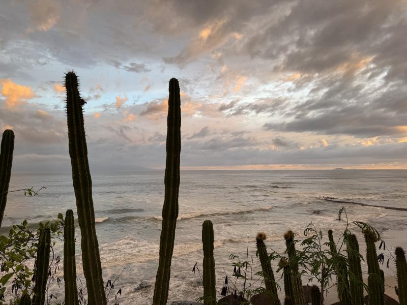 Purto Vallarta Ceboruco photo 7