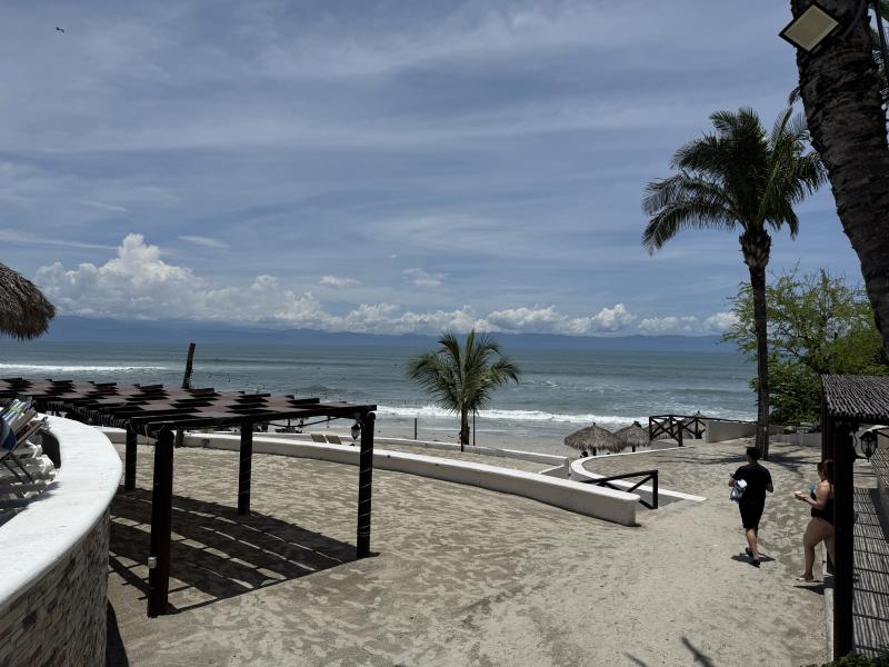 Purto Vallarta Ceboruco photo 19