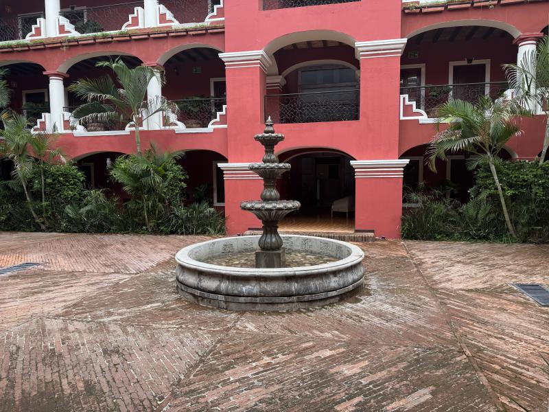 Purto Vallarta Ceboruco photo 64