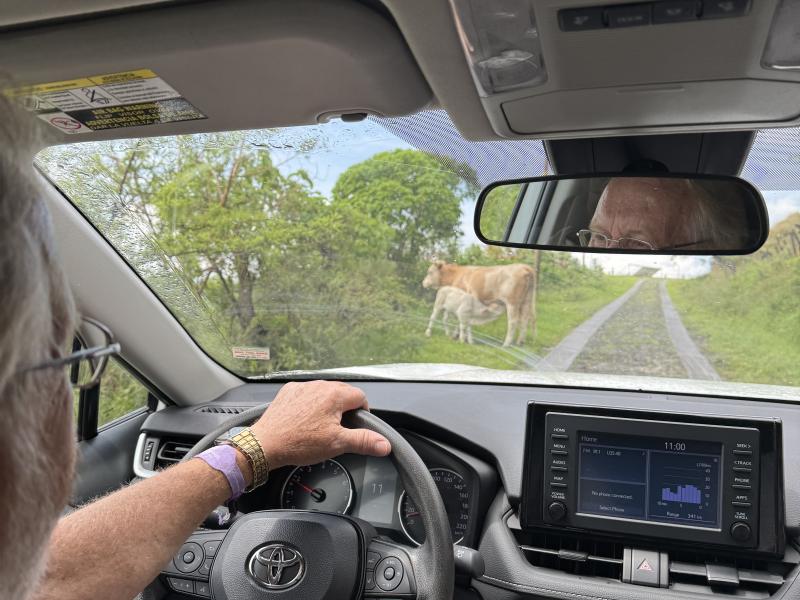 Purto Vallarta Ceboruco photo 71